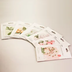 Premium Botanica Facial Mask - Caring